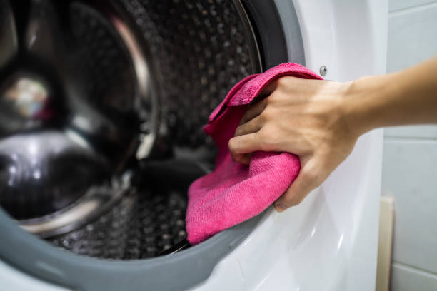 Professional Mold Removal in Garnet, CA