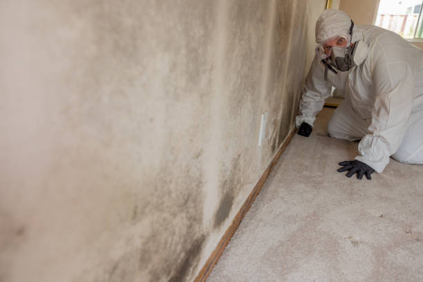 Best Mold Documentation for Insurance Claims  in Garnet, CA